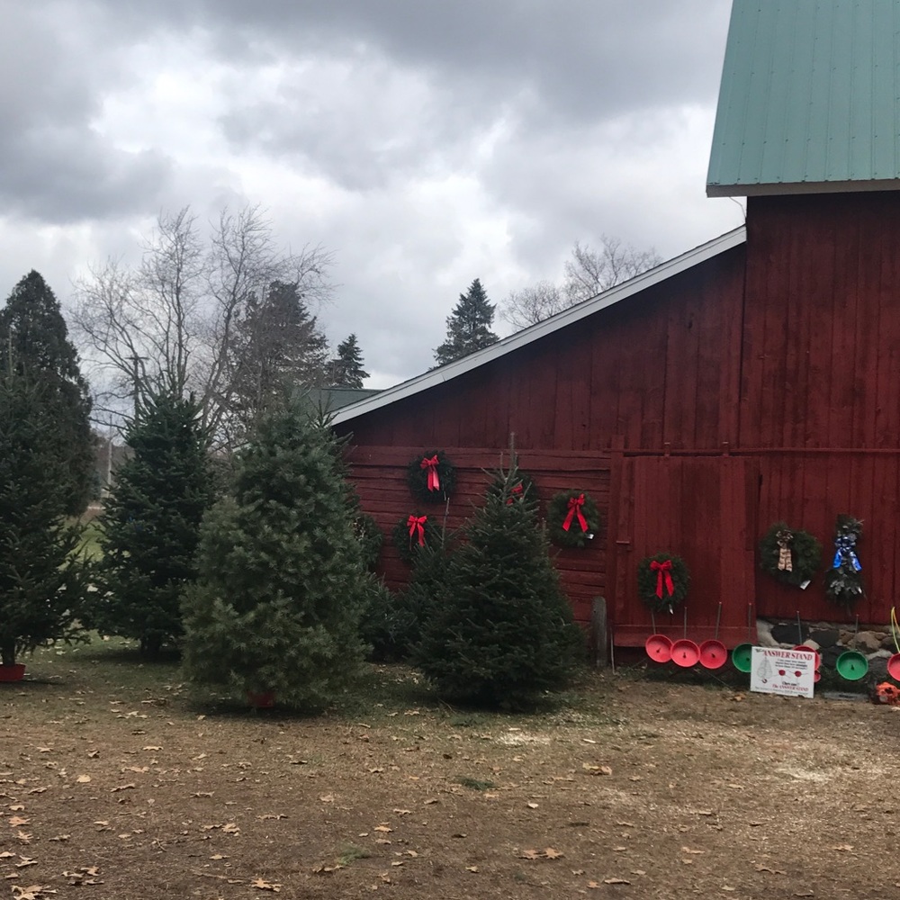 Meet your Posher, Christina